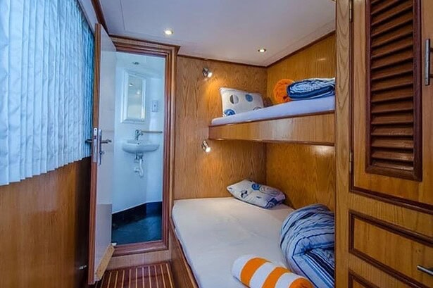 Twin bunk cabin on the Blue Planet 1 with an ensuite bathroom visible through the open door