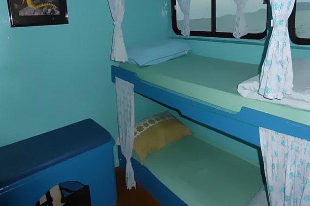twin bunk cabin aboard the Similan Explorer with turquoise walls and a seahorse photo