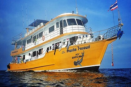 the liveaboard MV Gentle Giant, a yellow-hulled dive boat, underway at sea