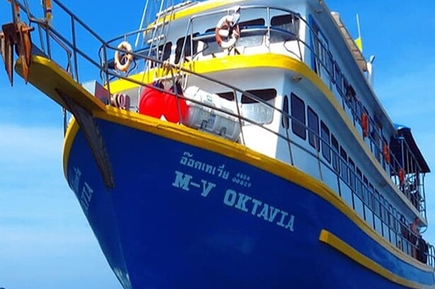 Front view of the M-V Oktavia liveaboard showing its blue and yellow hull and bow anchor rigging