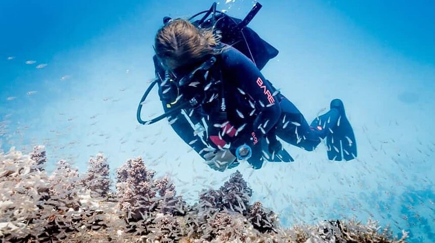 Scuba diver in a black BARE wetsuit hovering over a shallow coral reef surrounded by small silver fish