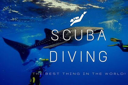 Two divers swimming near a whale shark, with a Scuba Diving text banner overlay