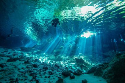Sunbeams cutting through clear water in a Mexican cenote, with divers silhouetted near the surface