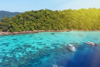 Aerial view of turquoise water and coral patches along a forested Thailand coastline