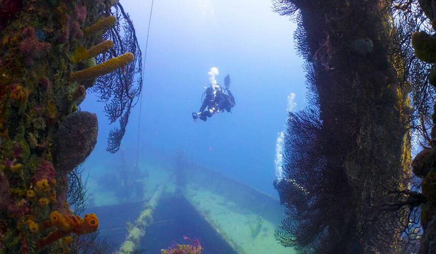 Diver descending a line above the coral-encrusted SS Stavronikita wreck in Barbados