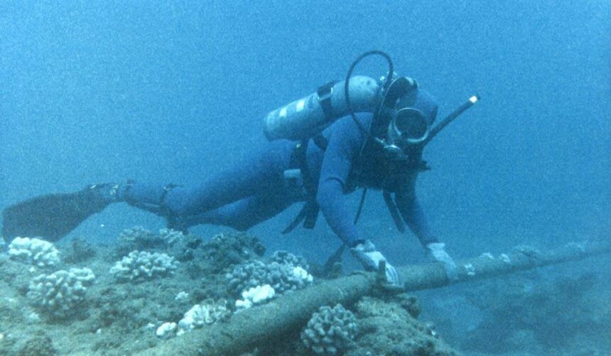 Diver alongside a thick submerged cable running across the reef at the Highwire dive site, Barbados