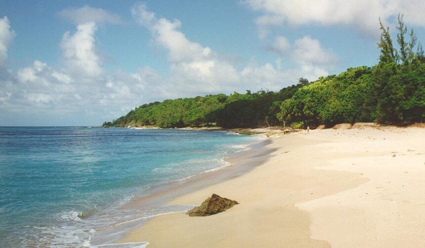 Empty white sand beach with turquoise shallows and a green headland at Maycocks Bay, Barbados
