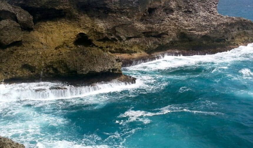 Waves breaking over a low limestone ledge along a rugged Barbados coastline