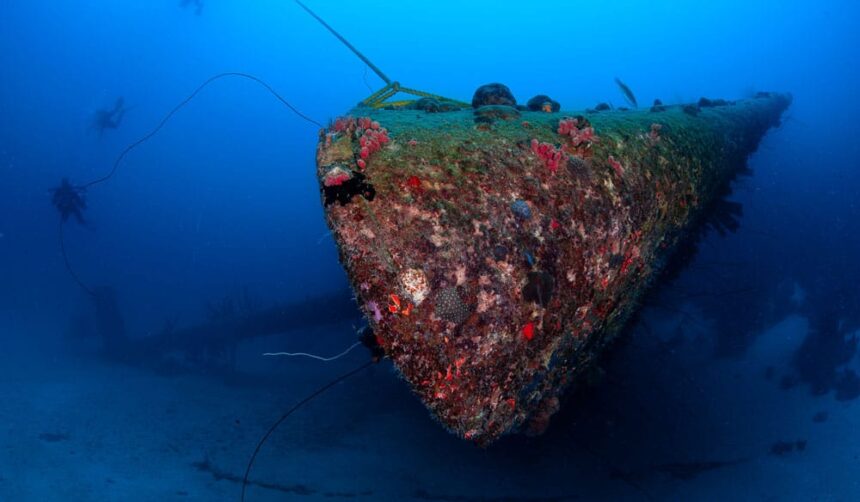 Coral-encrusted bow of the Hilma Hooker shipwreck rising from the seabed in deep blue water off Bonaire
