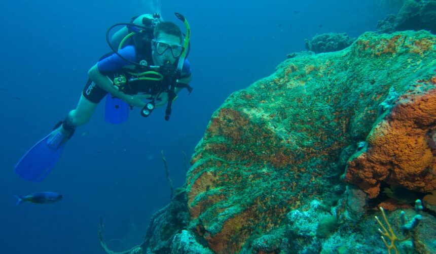 Scuba diver hovering beside a huge coral and sponge formation at Karpata on Bonaire's north coast