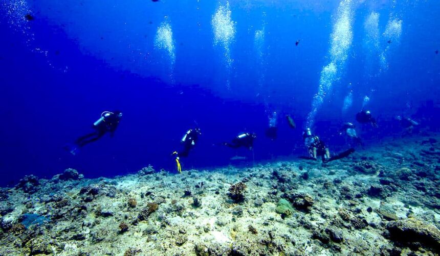 Group of scuba divers finning along a deep blue reef slope with bubble trails rising