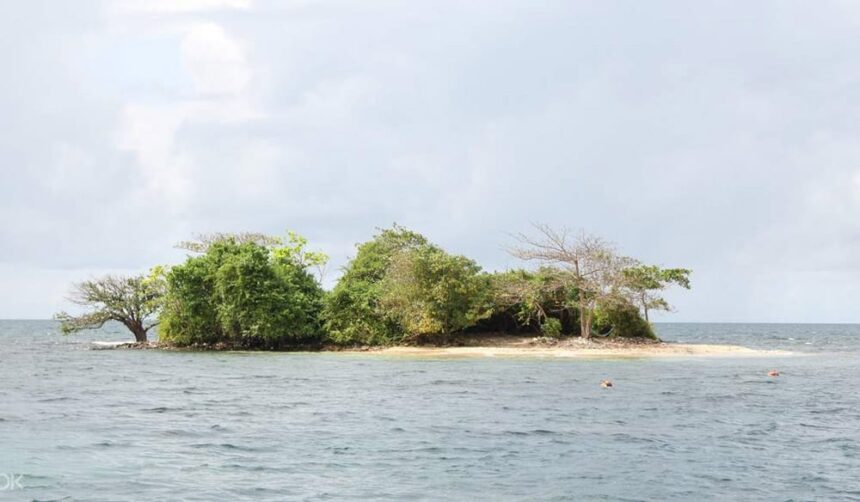 Small tree-covered island with a thin white sand beach under an overcast sky
