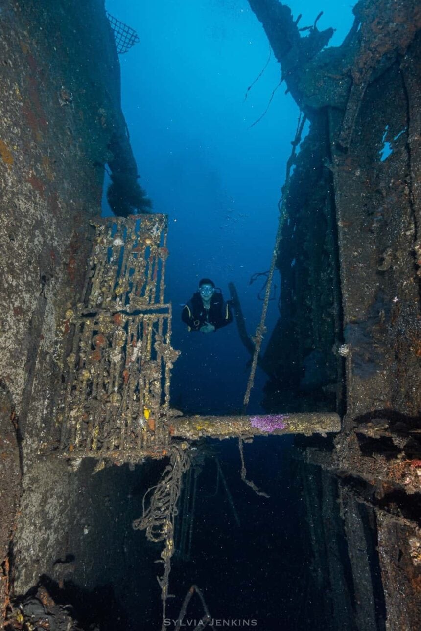 Diver framed between rusted, encrusted sections inside the Dona Marilyn wreck