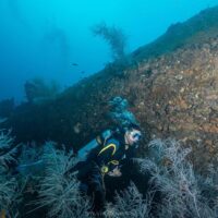 Scuba diver finning along the coral-covered hull of the Dona Marilyn wreck