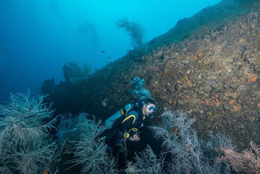 Scuba diver finning along the coral-covered hull of the Dona Marilyn wreck