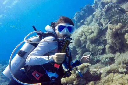 DIVEIN tester scanning a coral reef with a handheld underwater detector during a shallow dive