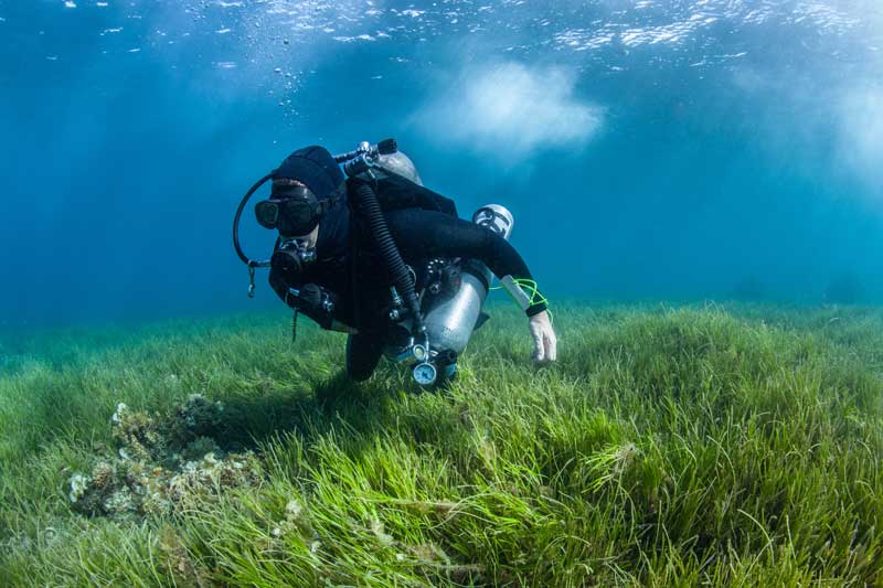 Making choices in scuba diving streamlined