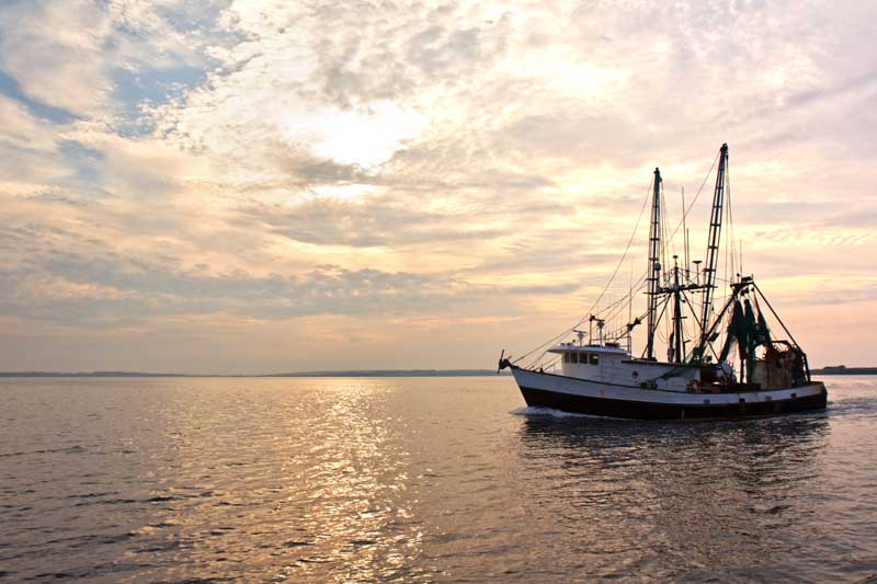 Commercial fishing trawler heading out to sea at sunset