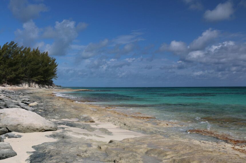 Rocky shoreline and turquoise shallows backed by pine trees at Palmetto Point, Barbuda