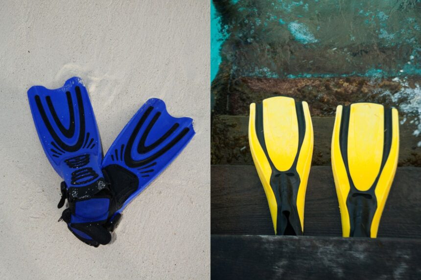 Scuba And Snorkeling Fins Side By Side Scuba And Snorkeling Fins Side By Side