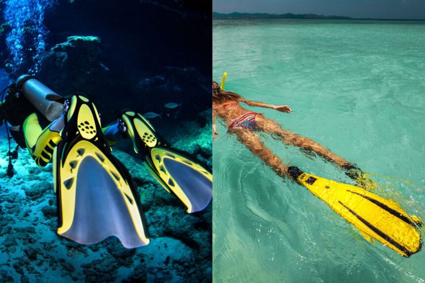 Scuba And Snorkeling Fins Scuba Diver Snorkeler Scuba And Snorkeling Fins Scuba Diver Snorkeler