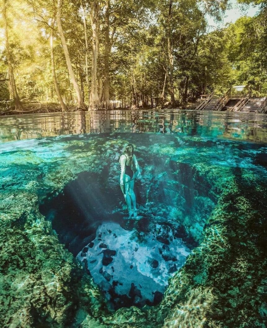Snorkeler floating over the deep blue mouth of a clear freshwater spring ringed by forest