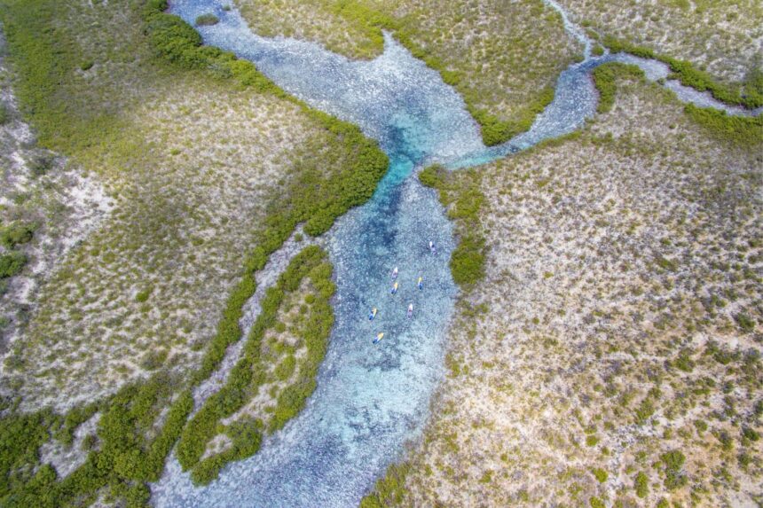 Aerial view of a mangrove channel winding through Mangrove Cay's shallow flats