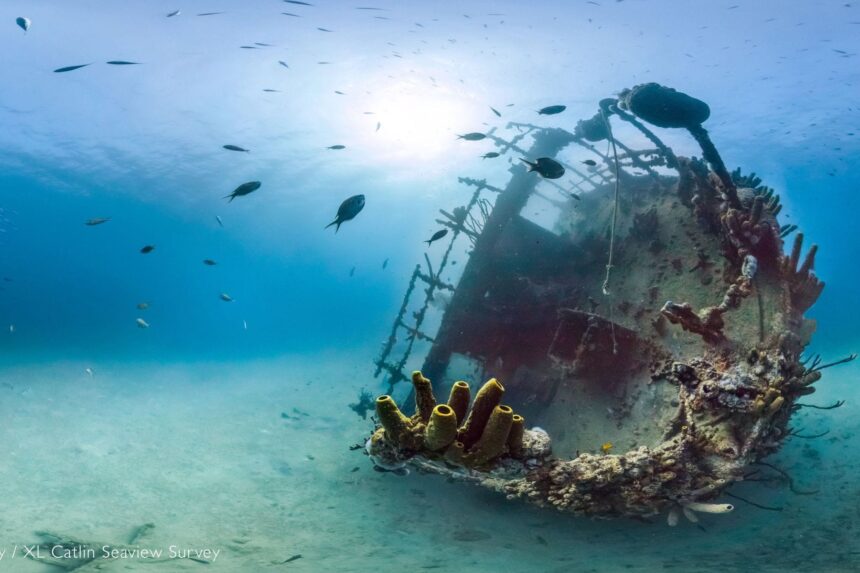 Antilla Shipwreck Aruba Coral and sponge growth cover the sunken Antilla shipwreck as fish swim by