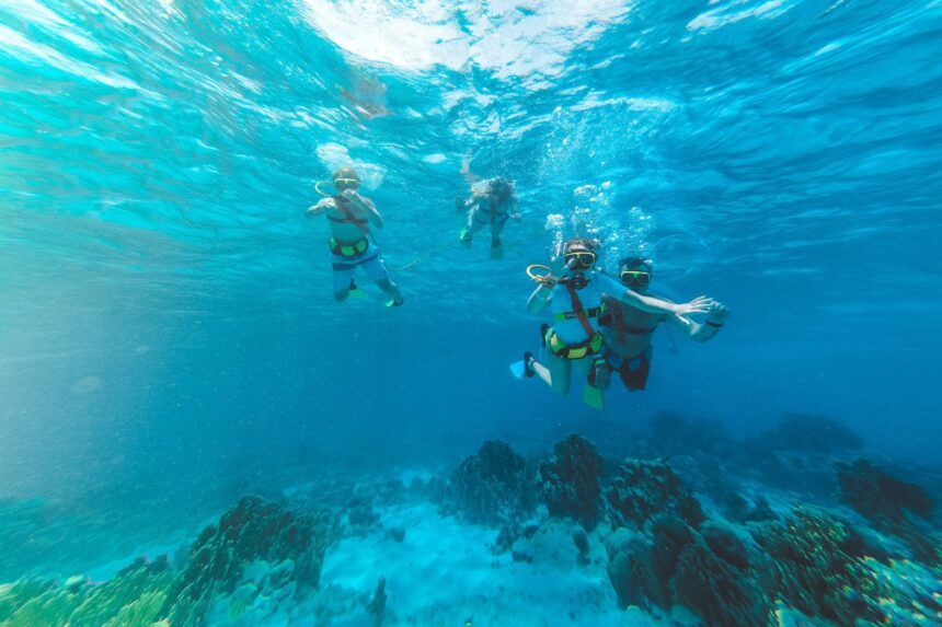 Snorkelers At De Palm Island Snorkelers descend through blue water toward a coral reef in Aruba