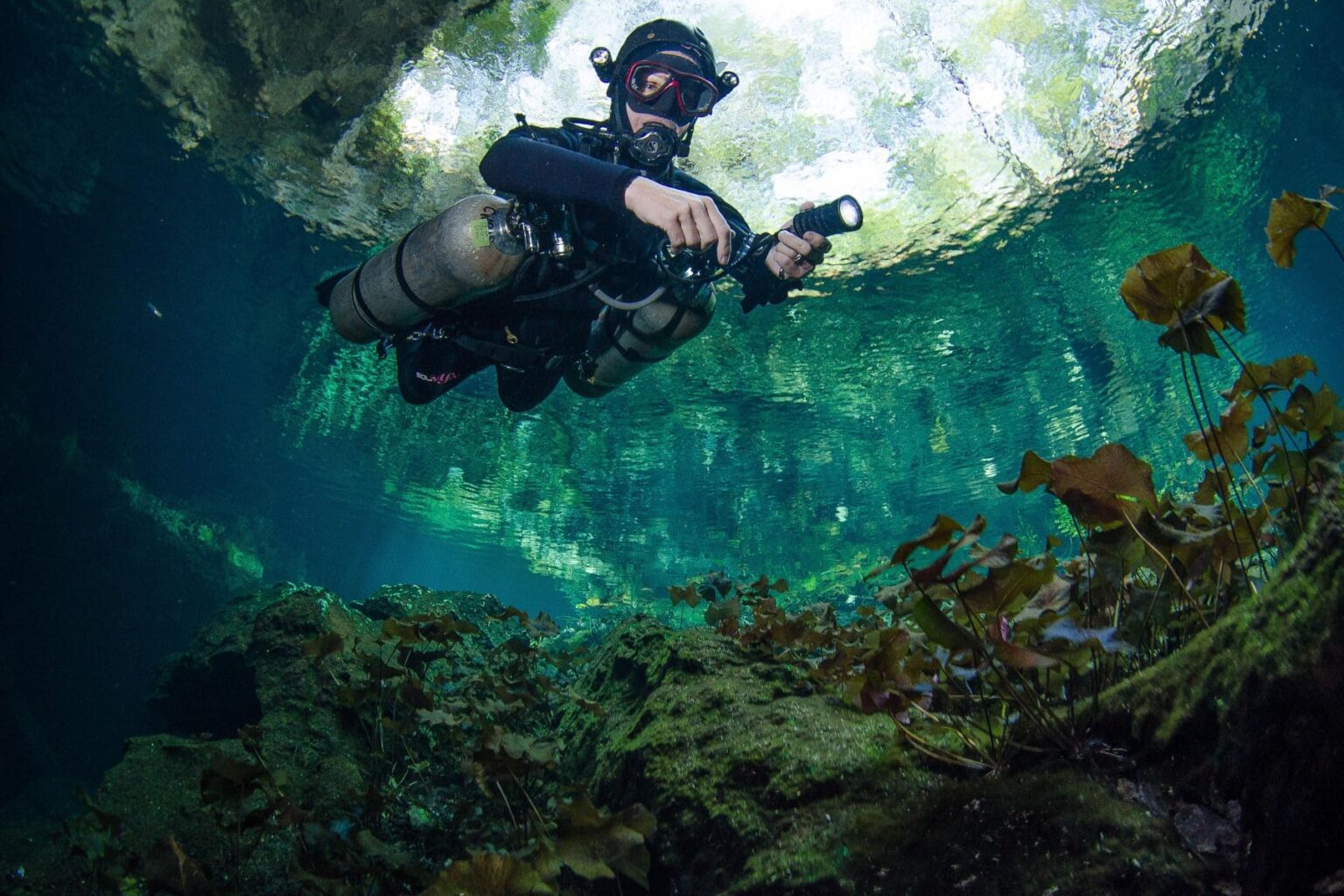 Diver hovering under a canopy of sunbeams inside Gran Cenote