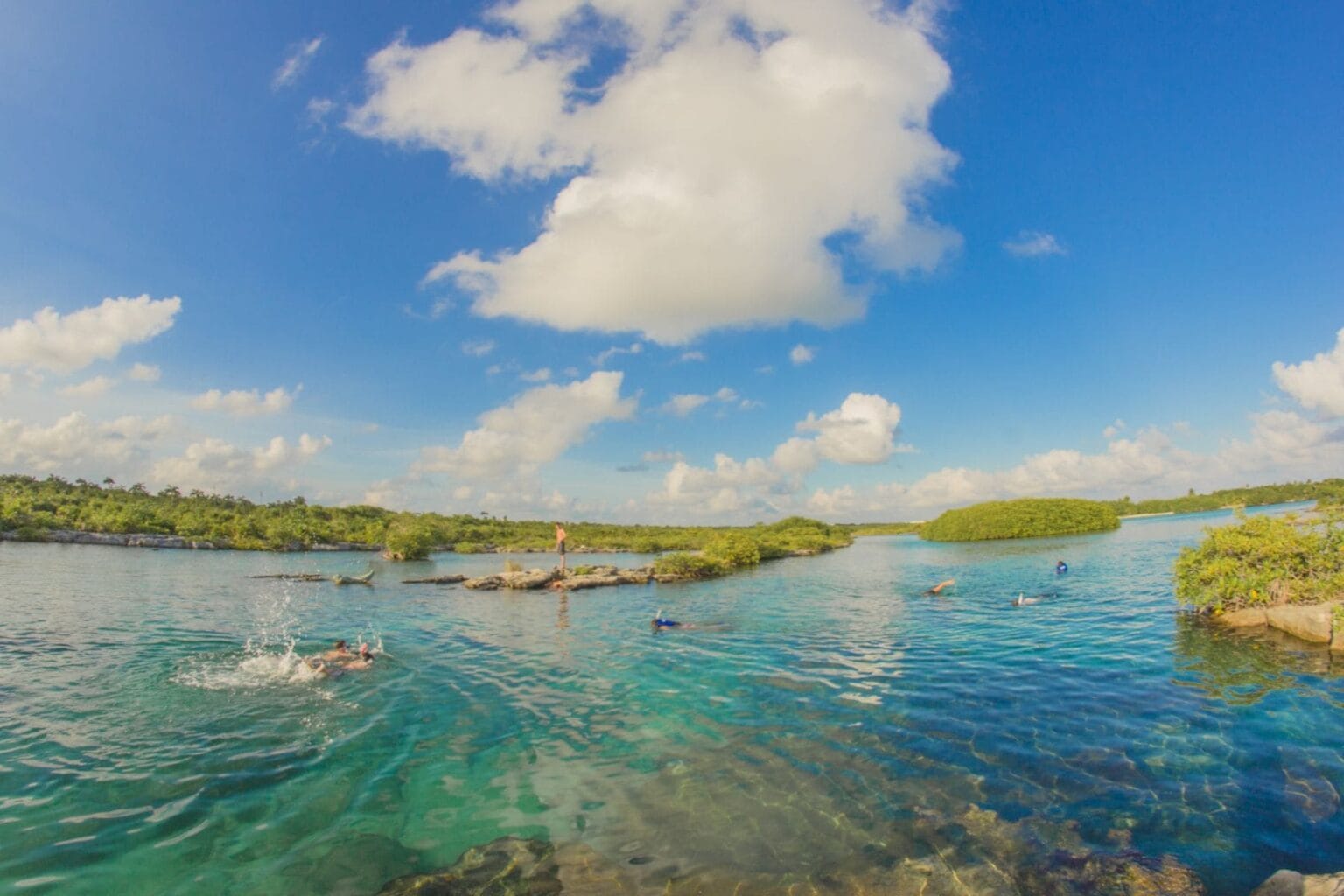 Swimmers and snorkelers in the calm turquoise waters of a mangrove lined lagoon
