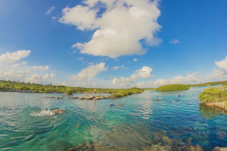 Swimmers and snorkelers in the calm turquoise waters of a mangrove lined lagoon