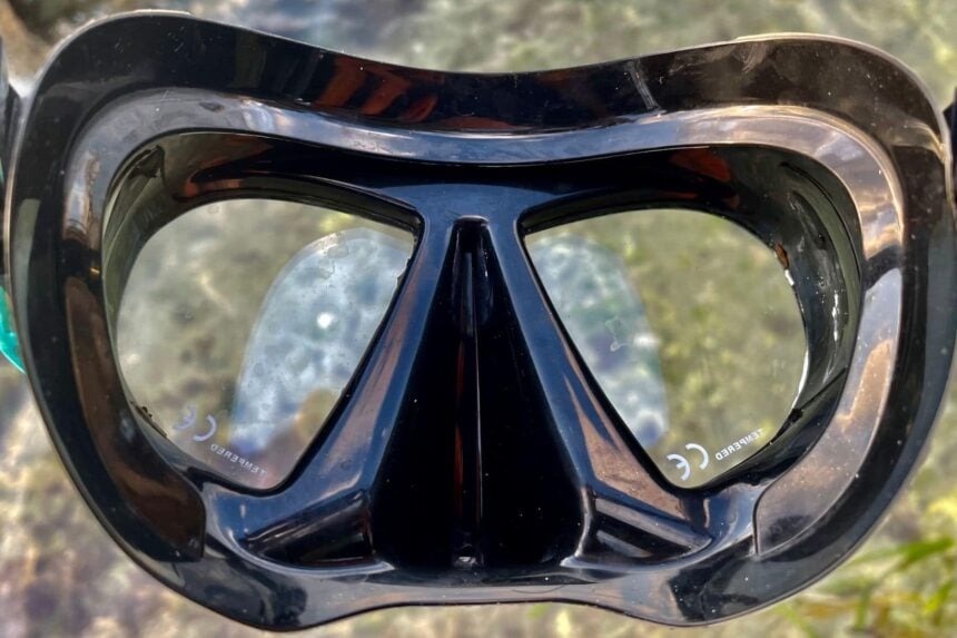 Sherwood Cruz Teardrop Lenses Sherwood Cruz twin teardrop lenses seen from the front above clear shallow water