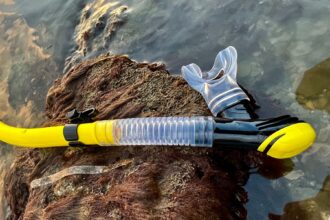 Sherwood Cai semi-dry snorkel in yellow and clear on a weed-covered rock at the water's edge