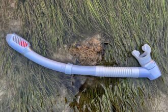 Genesis Hydra snorkel in pale blue with a red splash guard, lying on seagrass in shallow water