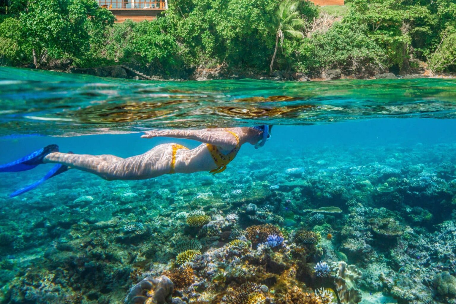 Snorkeler gliding over shallow coral in Beqa Lagoon, Fiji, seen in a split over-under view