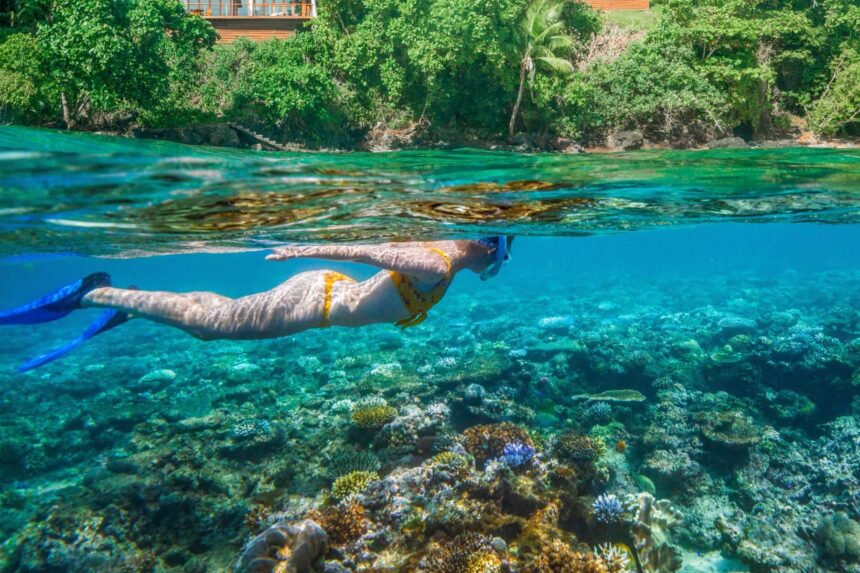 Snorkeling Beqa Lagoon In Fiji Snorkeler gliding over shallow coral in Beqa Lagoon, Fiji, seen in a split over-under view