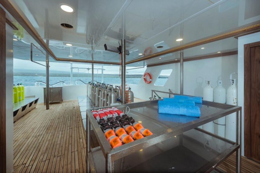Scuba tanks and dive gear lined up on the Tiburon Explorer's deck