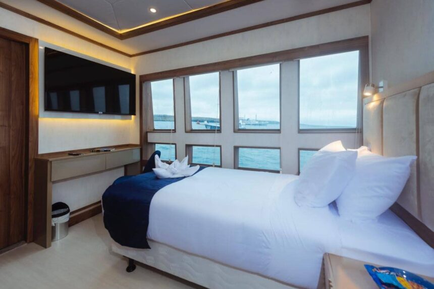 A cabin bed faces large windows overlooking the water on the Tiburon Explorer