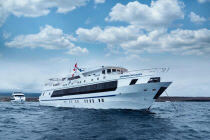 Tiburon Explorer liveaboard anchored on calm blue water with a second dive boat behind it
