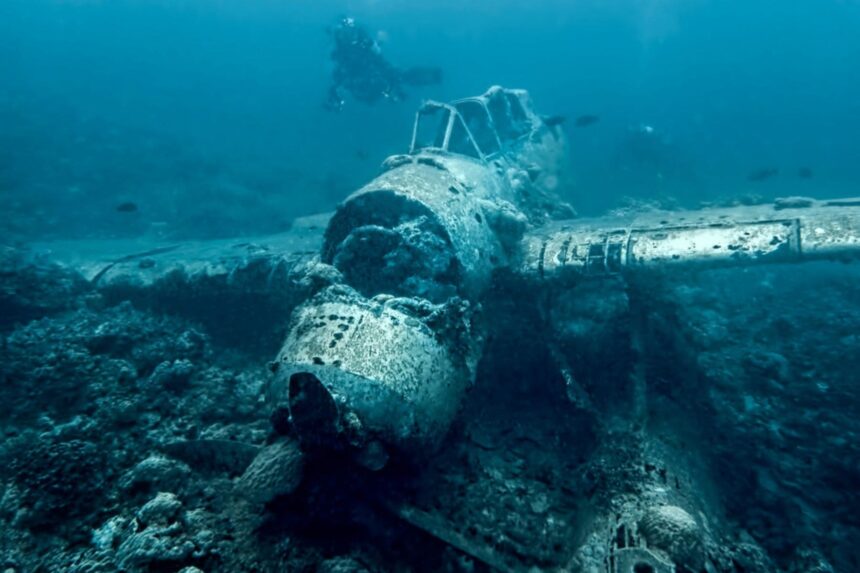 A sunken plane wreck rests on the seafloor as a diver looks on