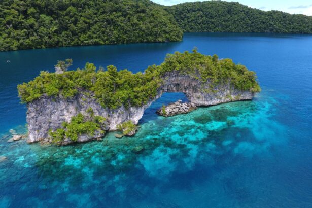 Aerial view of a limestone rock arch surrounded by turquoise water in Palau's Rock Islands