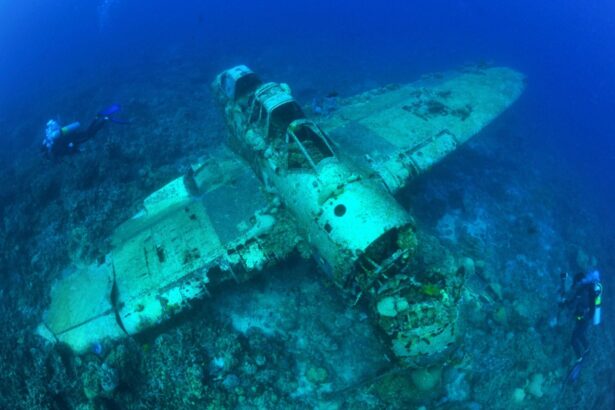 Divers explore a sunken Jake seaplane wreck coated in coral on the seafloor