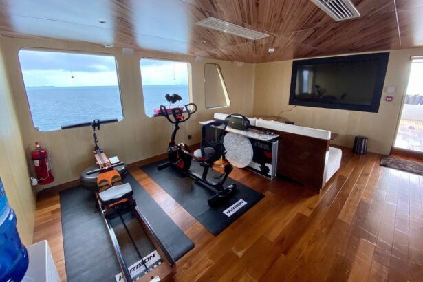 Black Pearl Explorer Gym