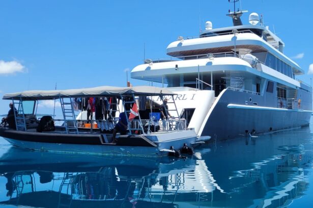 The Black Pearl Explorer liveaboard anchored beside its dive tender at sea