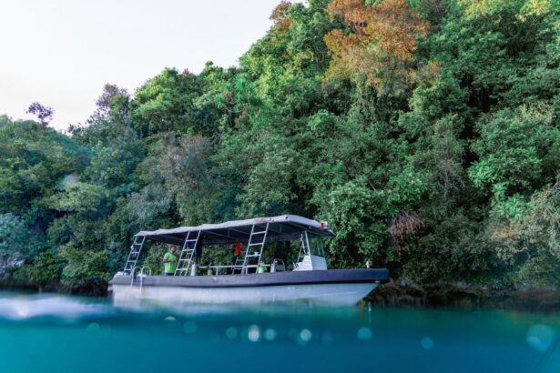 Covered dive tender idling near a forested shoreline in Palau at dusk