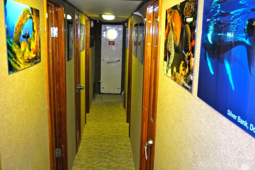 Twin bed cabin decorated with fresh flowers and folded life jackets