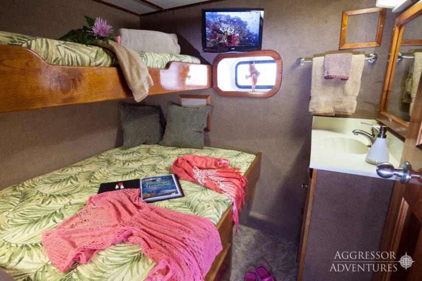 Cabin bunk and ensuite bathroom aboard the Bahamas Aggressor