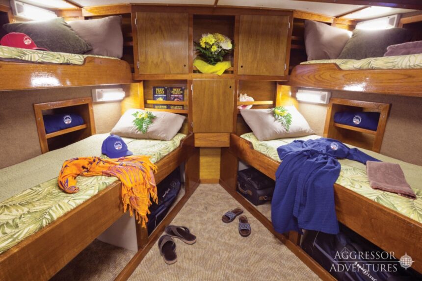 Twin bunk cabin with tropical linens aboard the Bahamas Aggressor