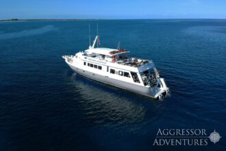 Bahamas Aggressor liveaboard overview